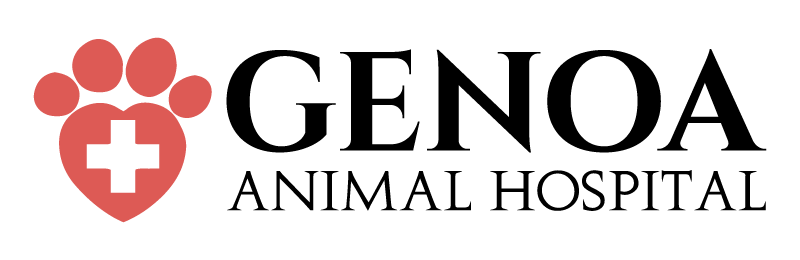 <span>Genoa Animal Hospital</span>
logo