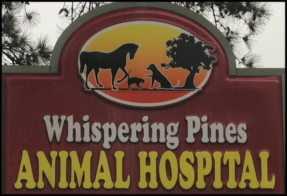 <span>Whispering Pines Animal Hospital</span>
logo