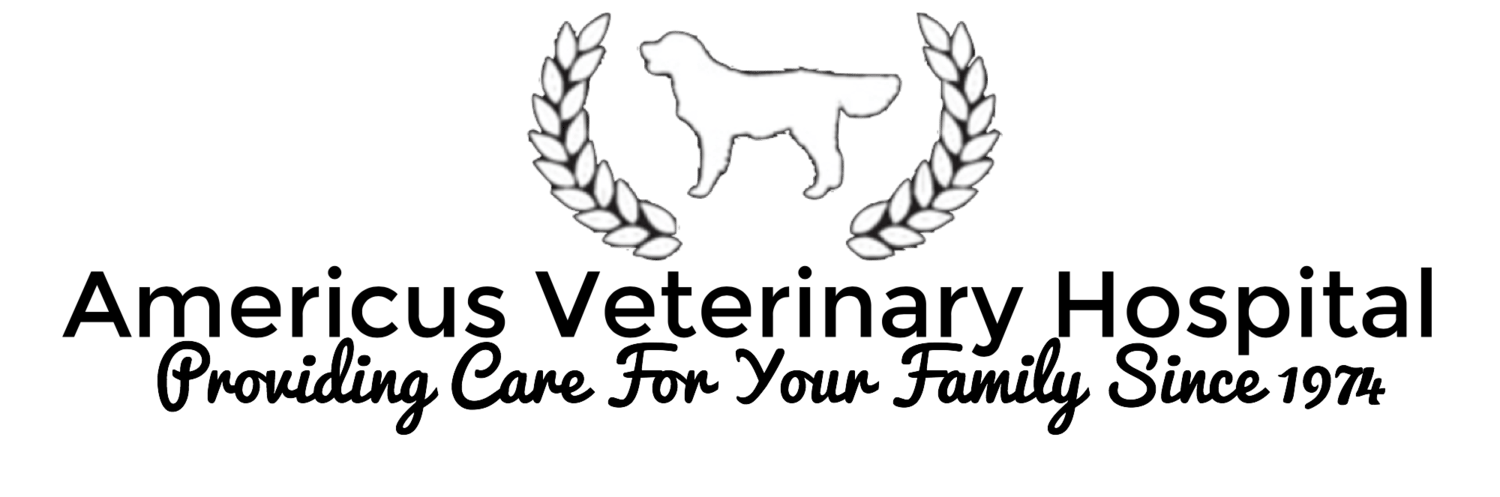 <span>Americus Veterinary Hospital</span>
logo