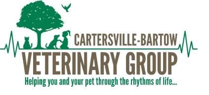 <span>Animal Medical Center</span>
 logo