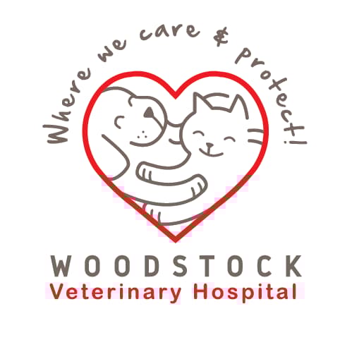 <span>Woodstock Veterinary Hospital</span>
logo