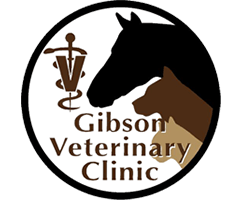 <span>Gibson Veterinary Clinic</span>
logo