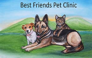 <span>Best Friends Pet Clinic</span>
logo