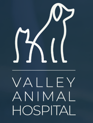 <span>Valley Animal Hospital</span>
logo