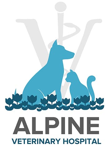 <span>Alpine Veterinary Hospital</span>
logo
