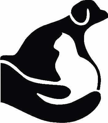 <span>Independence Veterinary Hospital</span>
logo