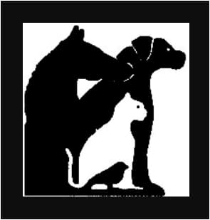<span>Cumback Veterinary Service</span>
 logo