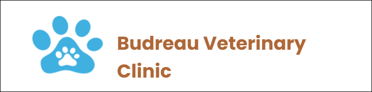 <span>Budreau Veterinary Clinic</span>
logo