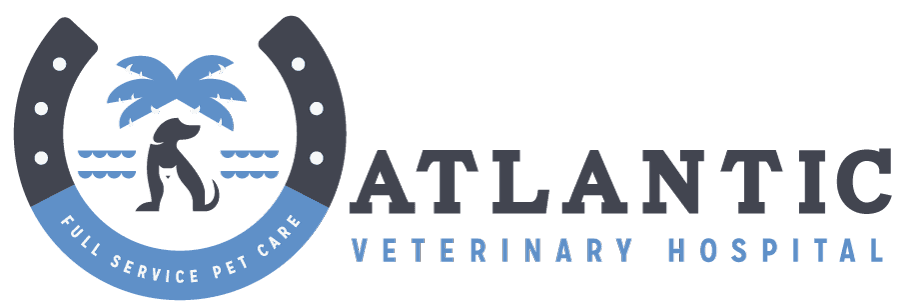 <span>Atlantic Veterinary Hospital</span>
logo