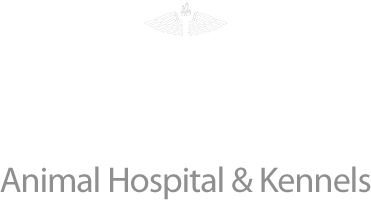 <span>Bethel Animal Hospital & Kennel</span>
logo