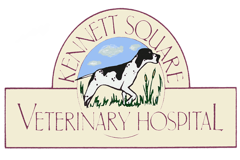 <span>Kennett Square Veterinary Hospital</span>
logo