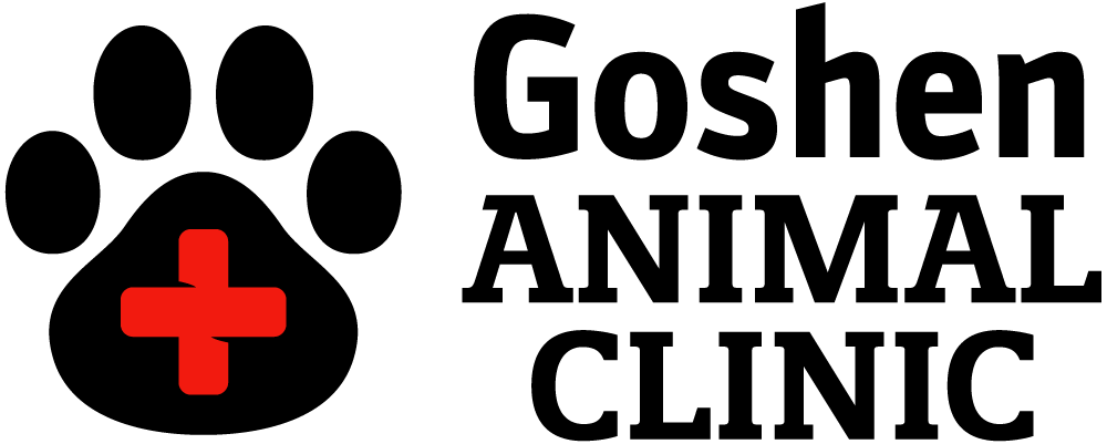 

<!-- THEME DEBUG -->
<!-- THEME HOOK: 'field' -->
<!-- FILE NAME SUGGESTIONS:
   * field--node--title--listing.html.twig
   x field--node--title.html.twig
   * field--node--listing.html.twig
   * field--title.html.twig
   * field--string.html.twig
   * field.html.twig
-->
<!-- BEGIN OUTPUT from 'core/themes/stable/templates/field/field--node--title.html.twig' -->
<span>Goshen Animal Clinic</span>

<!-- END OUTPUT from 'core/themes/stable/templates/field/field--node--title.html.twig' -->

 logo