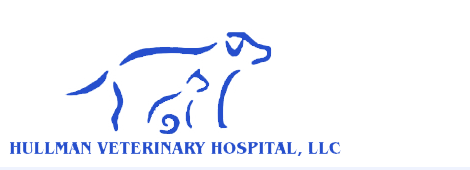 <span>Hullman Veterinary Hospital LLC</span>
 logo