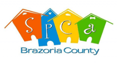 <span>SPCA of Brazoria County</span>
logo