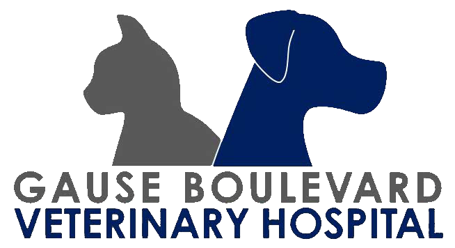<span>Gause Boulevard Veterinary Hospital </span>
logo