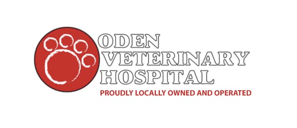 <span>Oden Veterinarian Hospital</span>
logo