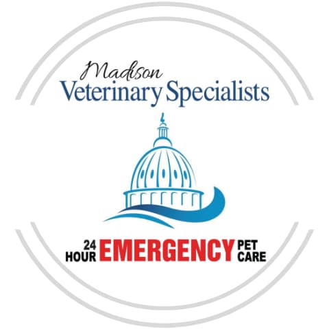 <span>Madison Veterinary Specialists</span>
logo