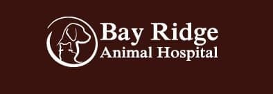 <span>Annapolis Cat Hospital and Bay Ridge Animal Hospital    </span>
 logo