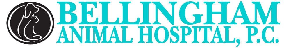<span>Bellingham Animal Hospital</span>
logo