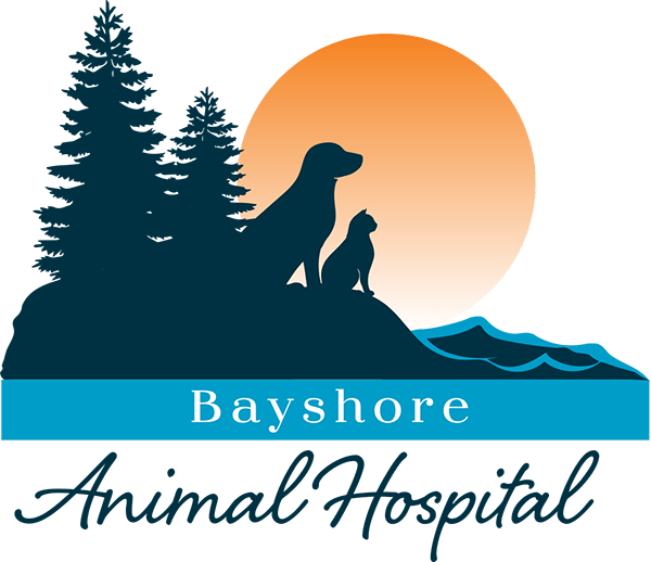 <span>Bayshore Animal Hospital Inc</span>
logo