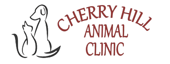 <span>Cherry Hill Animal Clinic</span>
logo