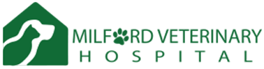 

<!-- THEME DEBUG -->
<!-- THEME HOOK: 'field' -->
<!-- FILE NAME SUGGESTIONS:
   * field--node--title--listing.html.twig
   x field--node--title.html.twig
   * field--node--listing.html.twig
   * field--title.html.twig
   * field--string.html.twig
   * field.html.twig
-->
<!-- BEGIN OUTPUT from 'core/themes/stable/templates/field/field--node--title.html.twig' -->
<span>Milford Veterinary Hospital</span>

<!-- END OUTPUT from 'core/themes/stable/templates/field/field--node--title.html.twig' -->

 logo