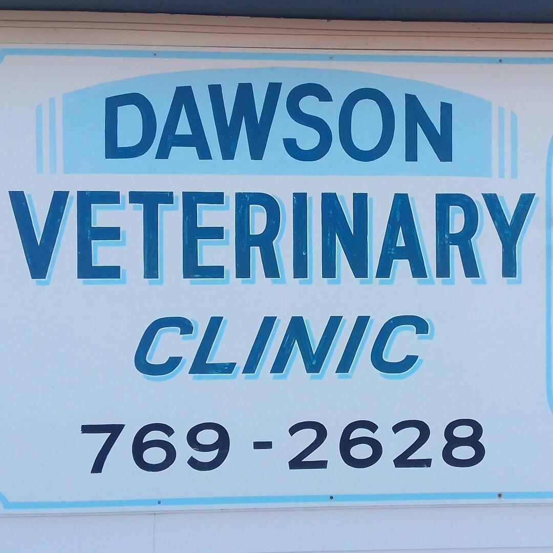 <span>Dawson Veterinary Clinic</span>
logo