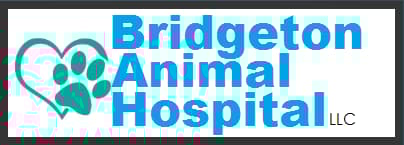 <span>Bridgeton Animal Hospital</span>
logo