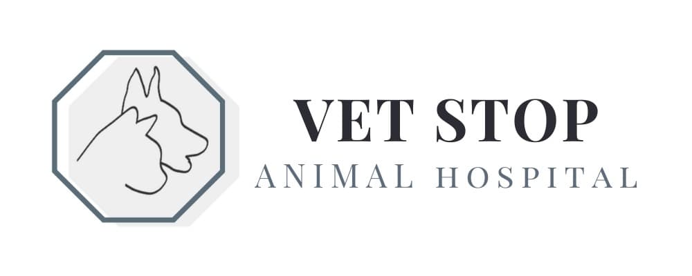 <span>Vet Stop Animal Hospital</span>
logo
