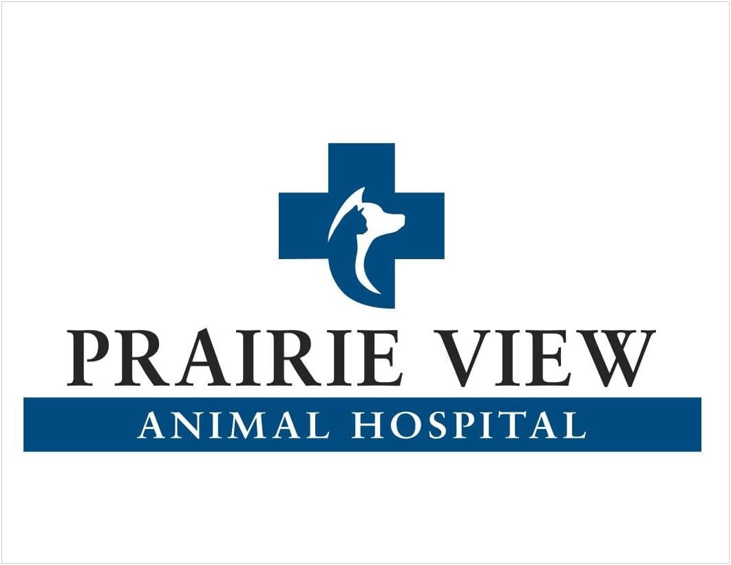 

<!-- THEME DEBUG -->
<!-- THEME HOOK: 'field' -->
<!-- FILE NAME SUGGESTIONS:
   * field--node--title--listing.html.twig
   x field--node--title.html.twig
   * field--node--listing.html.twig
   * field--title.html.twig
   * field--string.html.twig
   * field.html.twig
-->
<!-- BEGIN OUTPUT from 'core/themes/stable/templates/field/field--node--title.html.twig' -->
<span>Prairie View Animal Hospital</span>

<!-- END OUTPUT from 'core/themes/stable/templates/field/field--node--title.html.twig' -->

 logo