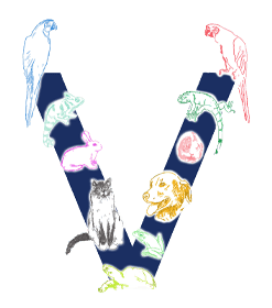 <span>Granite State Animal Hospital</span>
logo