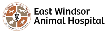 <span>East Windsor Animal Hospital</span>
logo