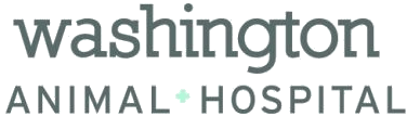 <span>Washington Animal Hospital</span>
logo