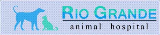 <span>Rio Grande Animal Hospital</span>
logo