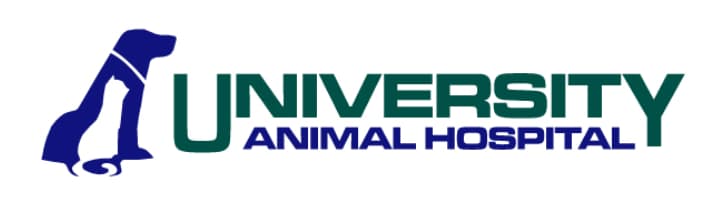 <span>University Animal Hospital</span>
logo