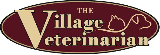 <span>The Village Veterinarian</span>
logo