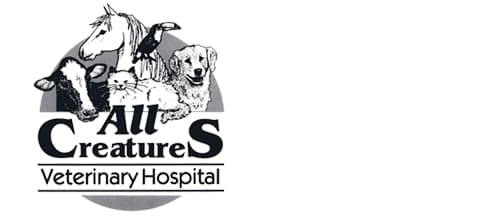 <span>All Creatures Veterinary Hospital</span>
logo