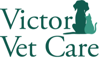 <span>Victor Vet Care</span>
logo