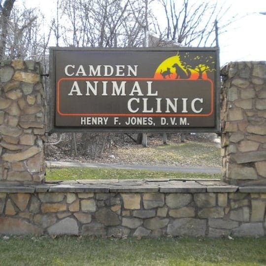 <span>Camden Animal Clinic</span>
logo