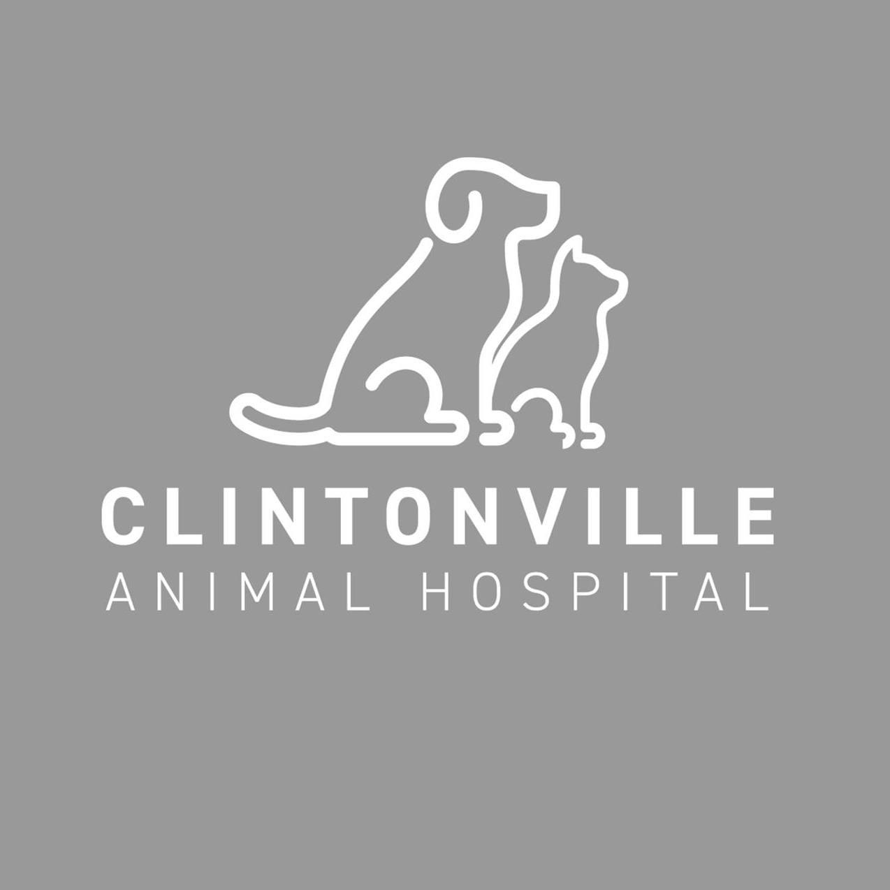 <span>Clintonville Animal Hospital</span>
logo