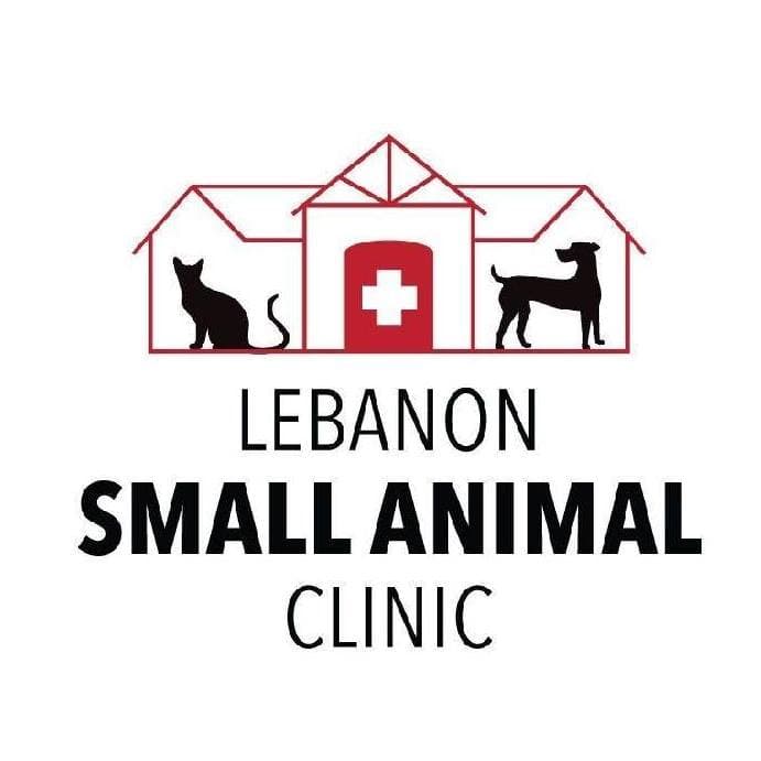 <span>Lebanon Small Animal Clinic</span>
logo