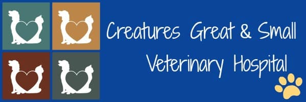 <span>Creatures Great & Small Veterinary Hospital</span>
logo