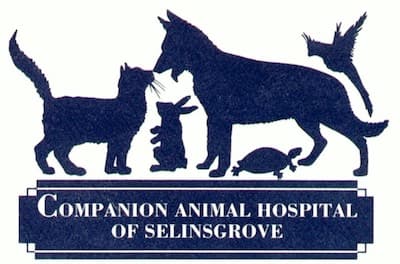 <span>Companion Animal Hospital</span>
logo