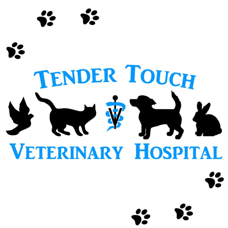 <span>Tender Touch Veterinary Hospital</span>
logo
