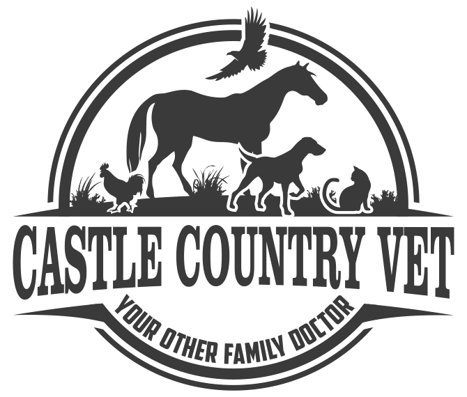 <span>Castle Country Vet</span>
logo
