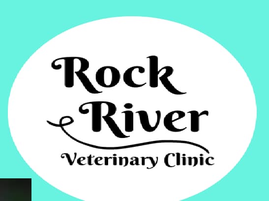 <span>Rock River Veterinary Clinic</span>
logo