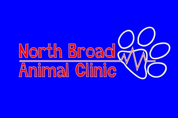 <span>North Broad Animal Clinic</span>
logo