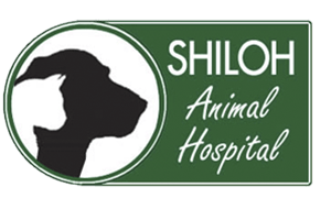 <span>Shiloh Animal Hospital</span>
 logo
