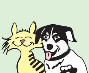 <span>Animal Hospital of Northwood</span>
logo