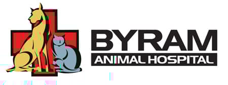 <span>Byram Animal Hospital</span>
logo